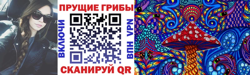 мега ТОР  Стерлитамак  Галлюциногенные грибы Cubensis 